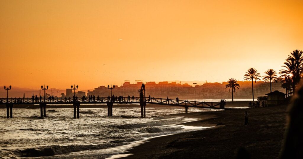 Marbella sunset with palm trees and pier